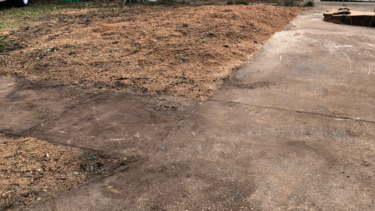 Daytona Beach Stump Grinding